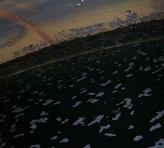 Managing and Avoiding Nitrification