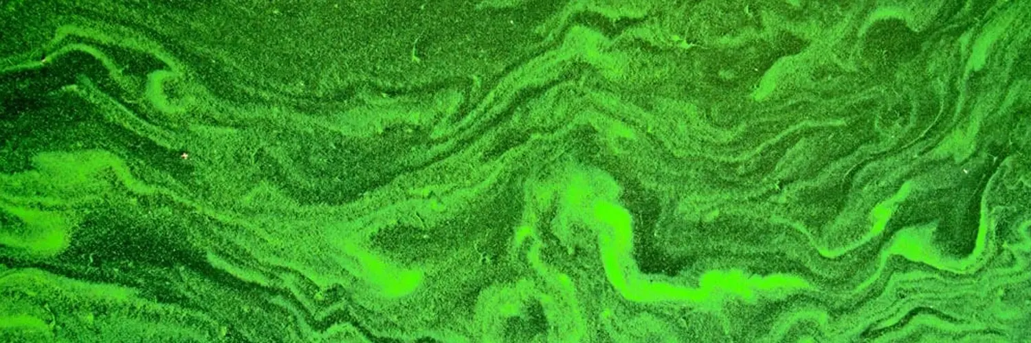 liquid-polymer-feed-municipal-water-quality copy